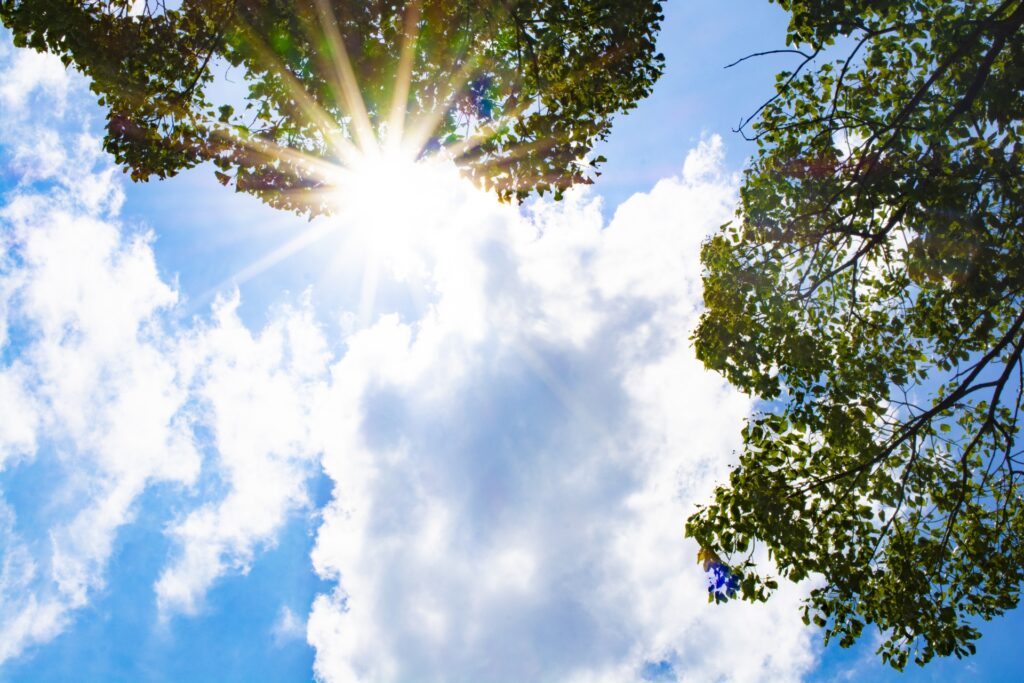 画像：夏の強い日差し