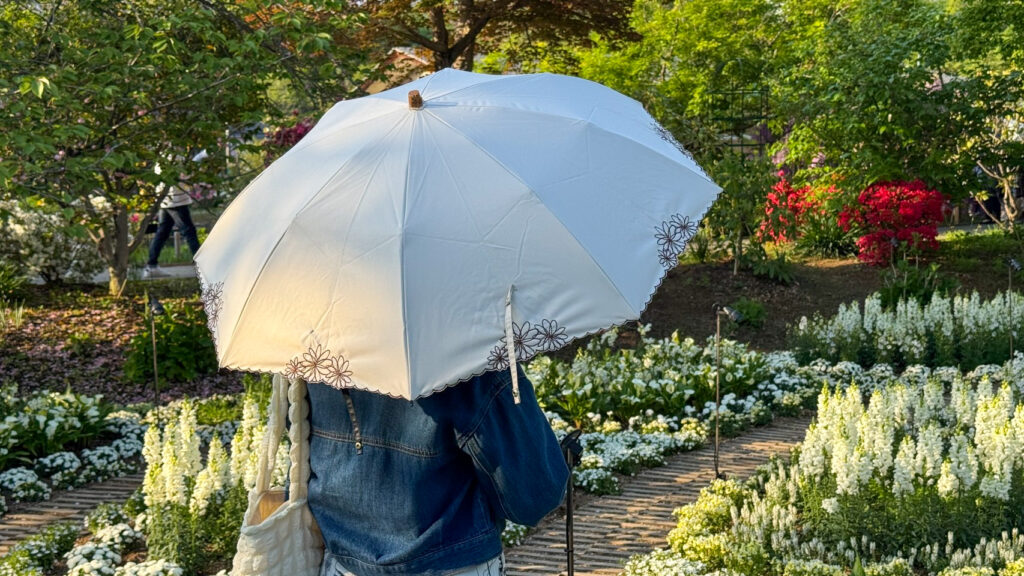 画像：屋外で日傘を使用している女性の写真