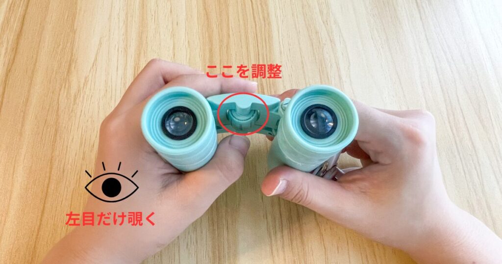 両手で双眼鏡を持って、上部のホイールを調整する写真