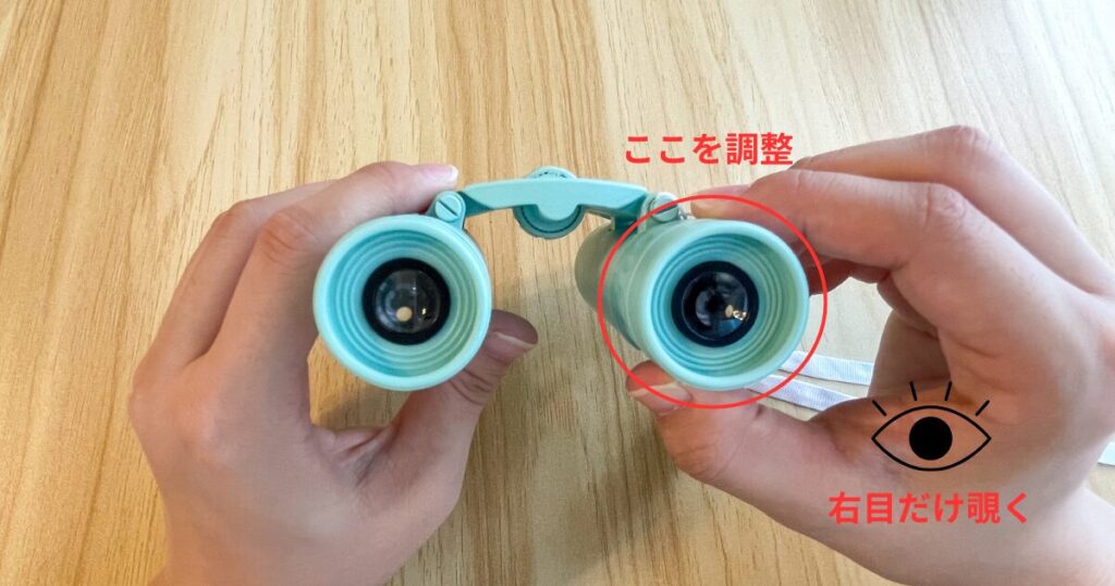 両手で双眼鏡を持って、右目のレンズホイールを調整する写真
