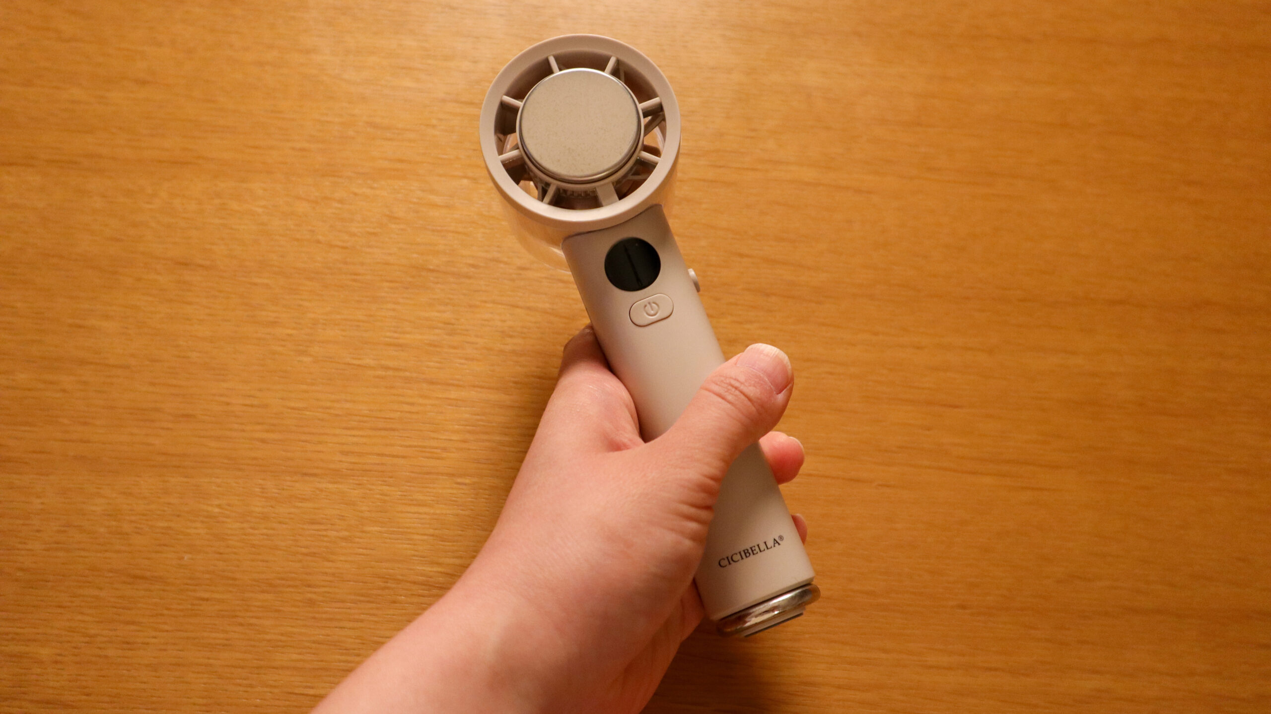 画像：ハンディファンを手に持った写真