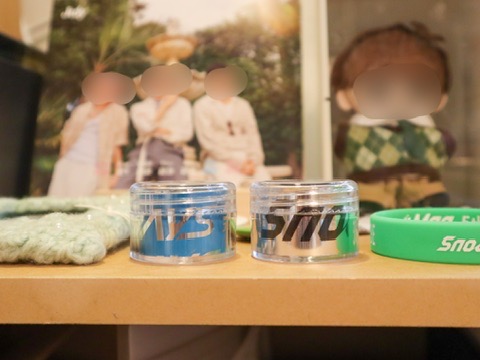 画像:ケースに入れたまま部屋に飾っている写真